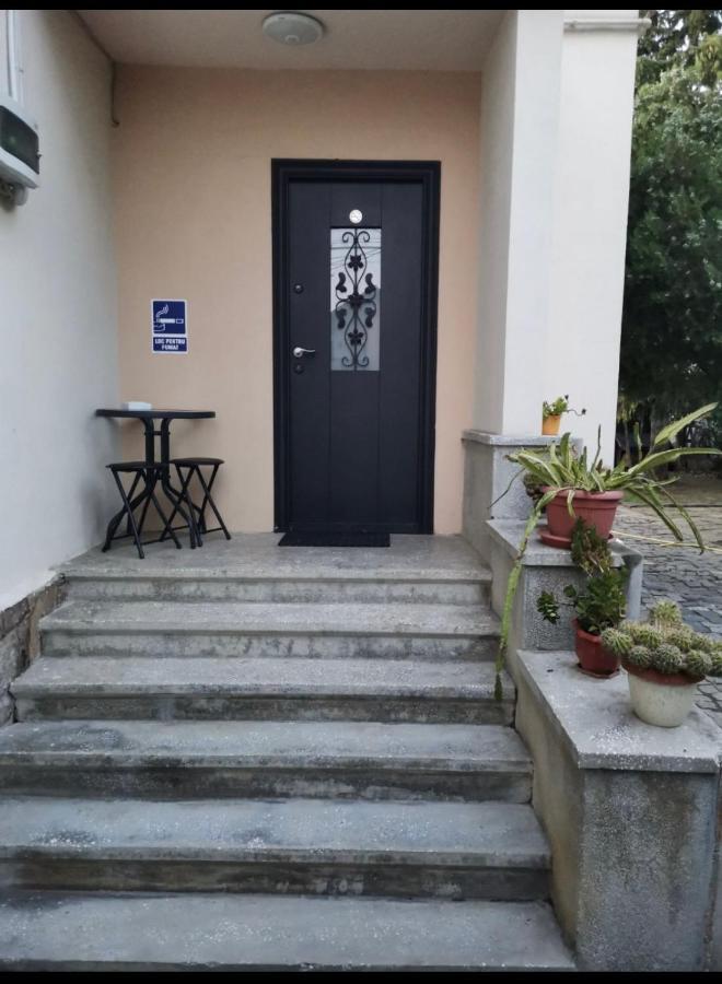Crisan 40 Casa Muntean 100Mp 3Camere 3Paturi 1 Canapea 2 Dormitoare Parcare Timişoara Exterior foto